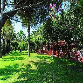 酒店 Defne Ana 锡德